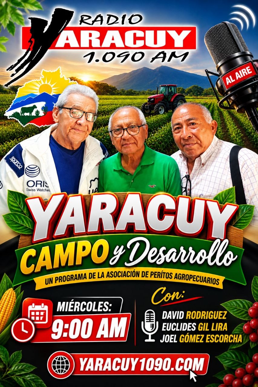 Yaracuy Campo y Desarrollo